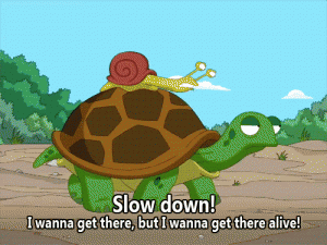 Slow Down - Snail riding on Turtle